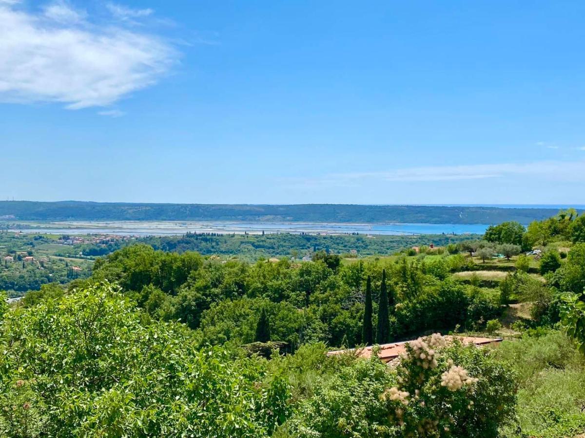 Apartma Hill Portorose Exteriör bild